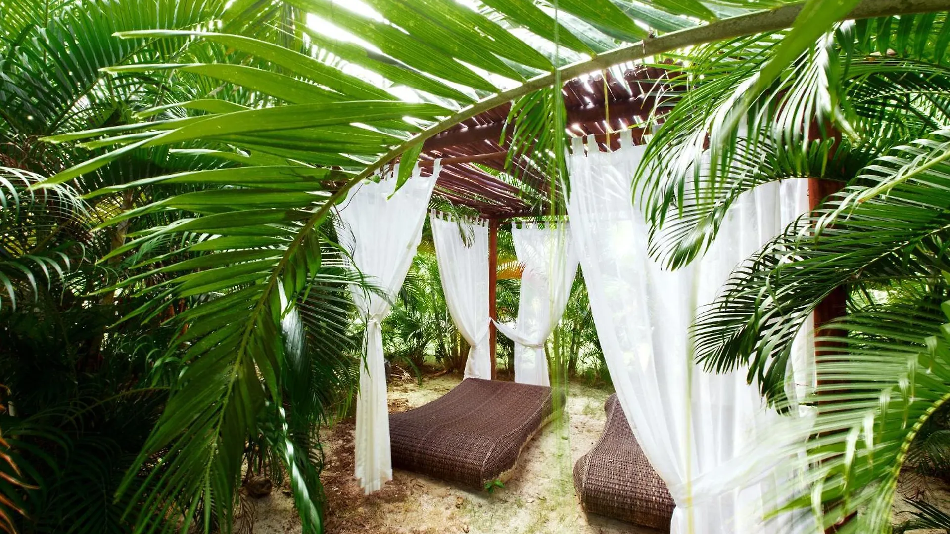 Grand Caribe Beach Club And Spa - Playa Los Corales Ξενοδοχείο Πούντα Κάνα